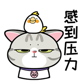 代可可生巧你说不好吃,纯可可你又嫌贵 嘿嘿嘿#咀嚼音 #解压 #甜品